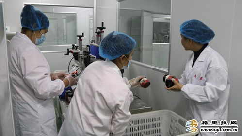 香格里拉市南素商贸深加工项目取得新突破，助力迪庆产业升级